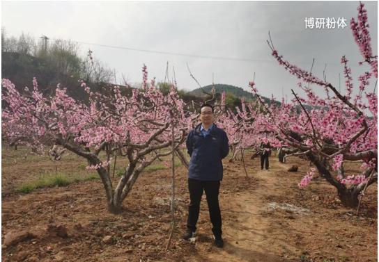 步履不停，共赴春光
